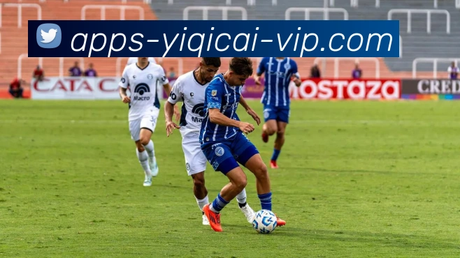 一起彩平台生态图